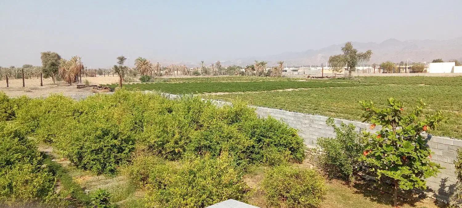 اجاره روزانه سوئیت ( اتاق مسافر)|اجارهٔ کوتاه‌مدت آپارتمان و سوئیت|رودان, |دیوار