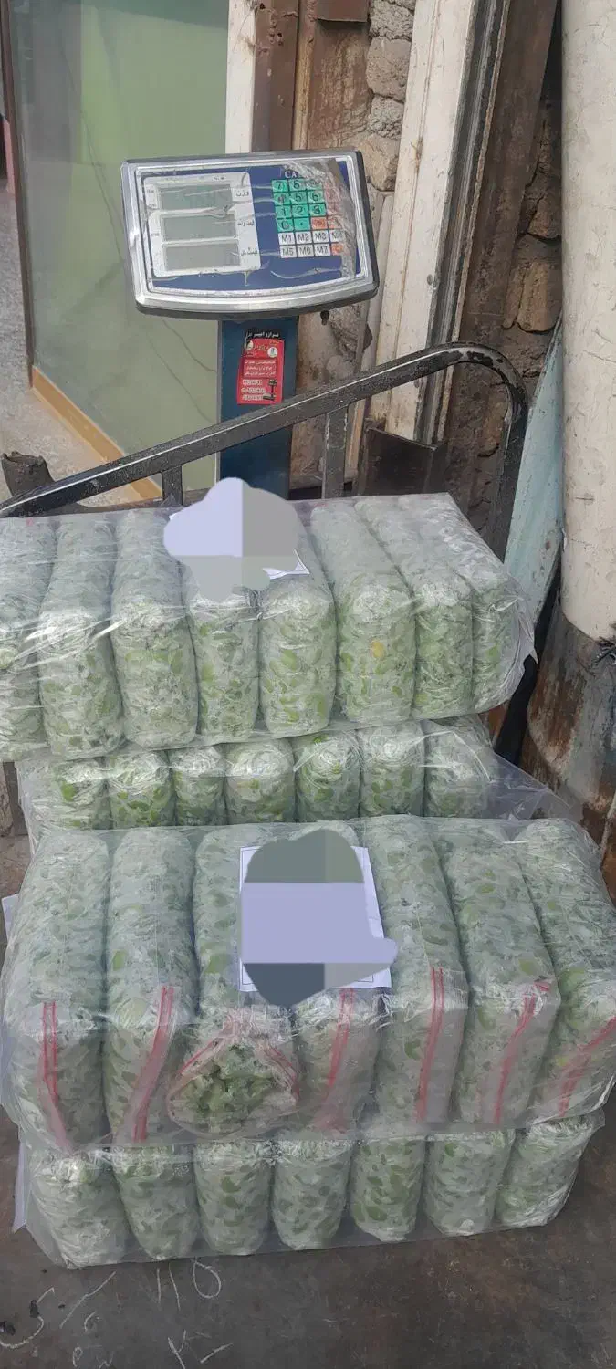 باقالی سبز منجمد|عمده‌فروشی|محمدشهر, محمدشهر|دیوار
