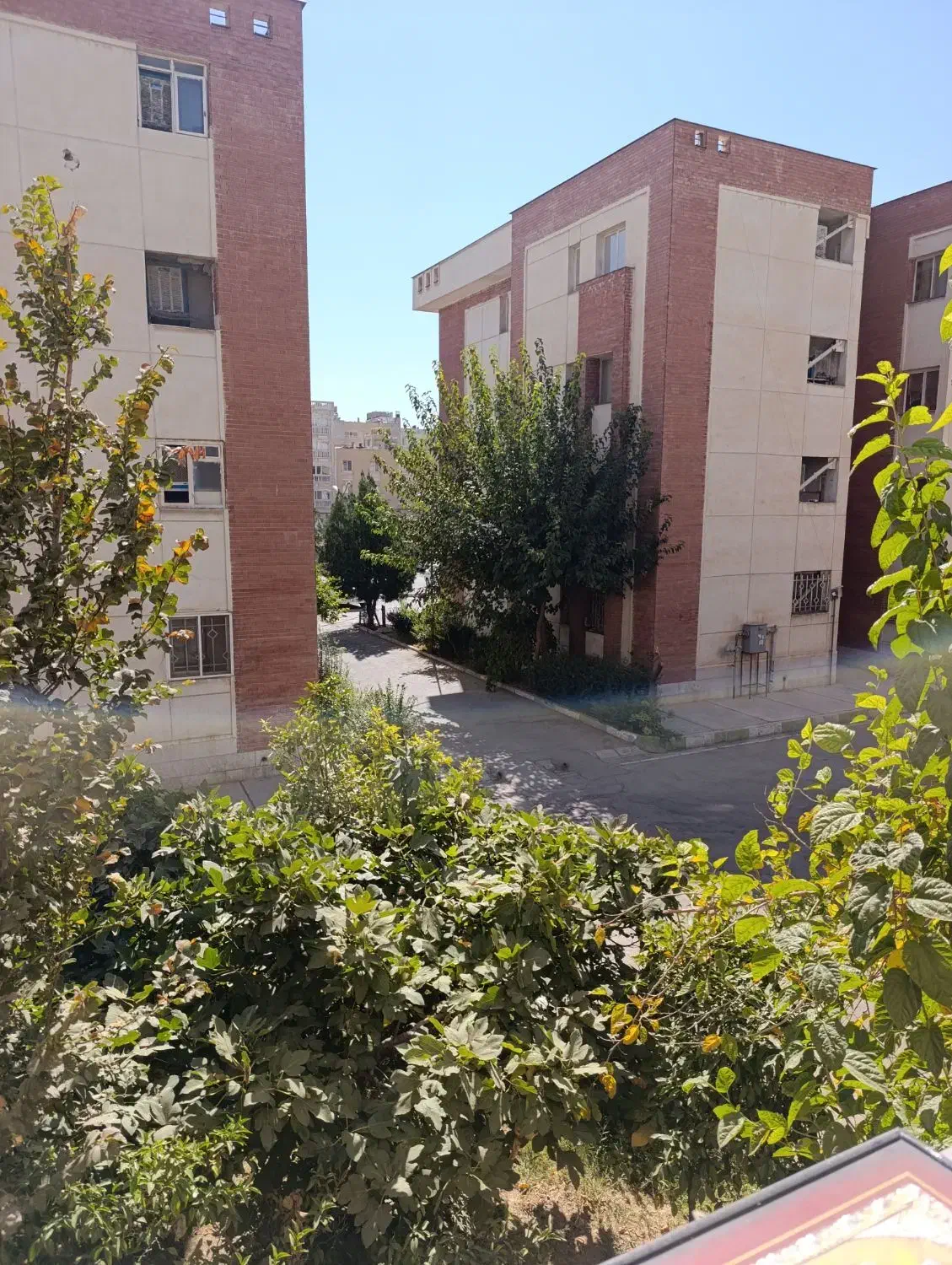 فروش یک واحد یک خوابه مجتمع بوعلی رو همکف|فروش آپارتمان|شیراز, فاضل|دیوار