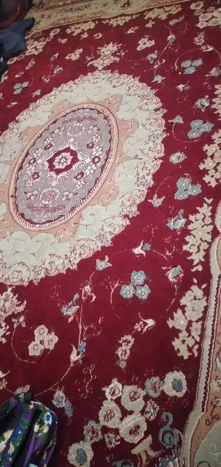 قالی ۱۲ متری|فرش|خرمشهر, |دیوار