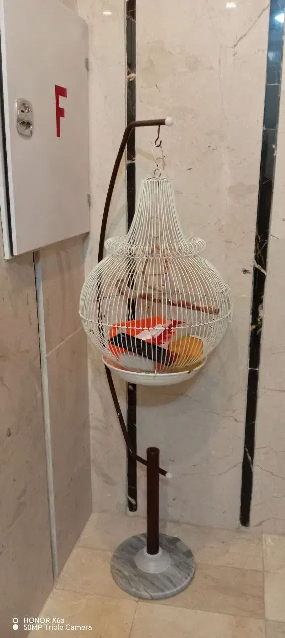 قفس پرنده|لوازم جانبی حیوانات|هشتگرد, شهرک گلها|دیوار