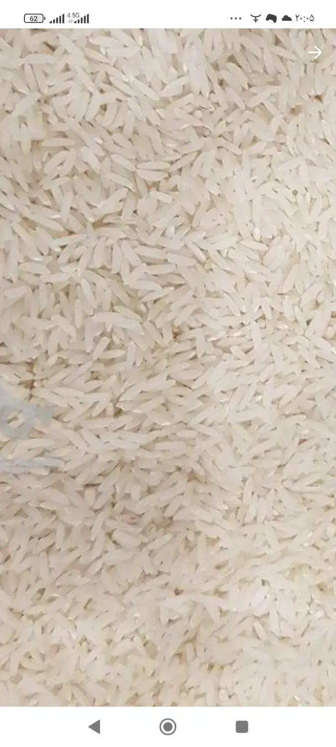 برنج طارم|خوردنی و آشامیدنی|قائم‌شهر, |دیوار
