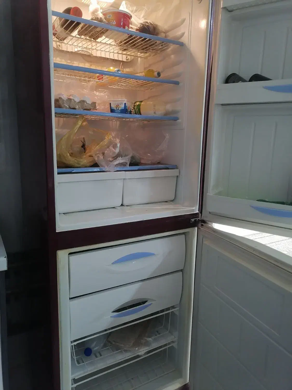 یخچال|یخچال و فریزر|صدرا-فارس, فاز ۲|دیوار