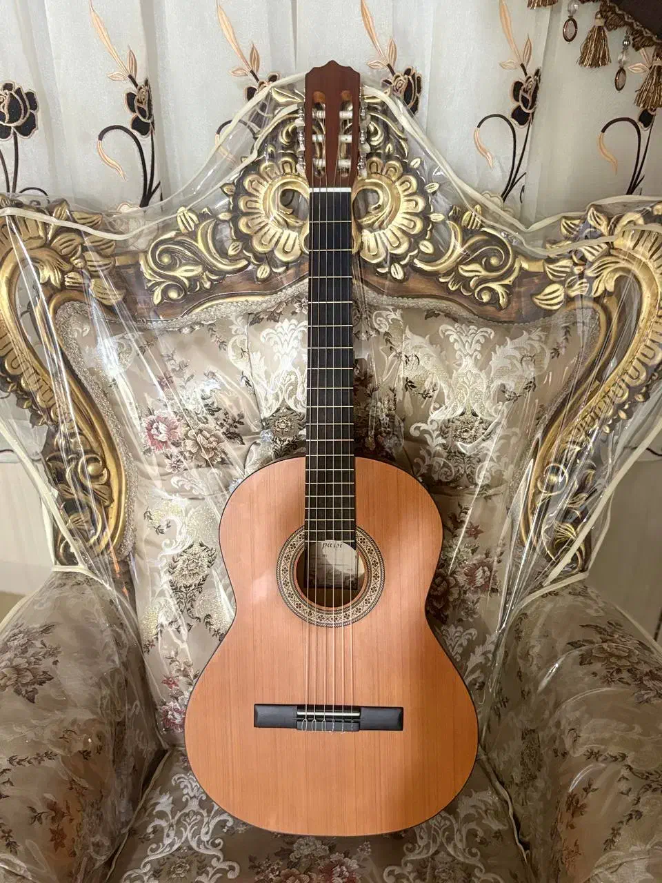 یک عدد گیتار به همراه...|گیتار، بیس، امپلیفایر|شاهرود, |دیوار