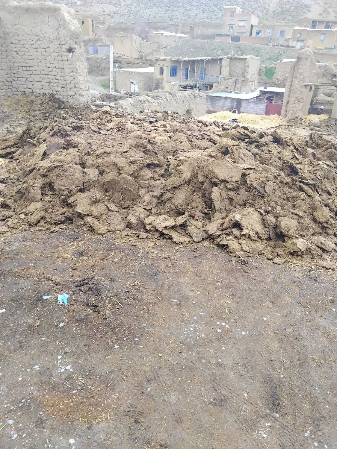 کودگوسفندی|خدمات باغبانی و درختکاری|همدان, |دیوار