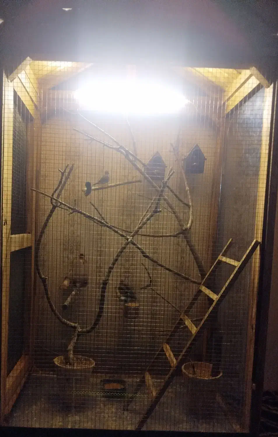 قفس|لوازم جانبی حیوانات|بروجرد, |دیوار