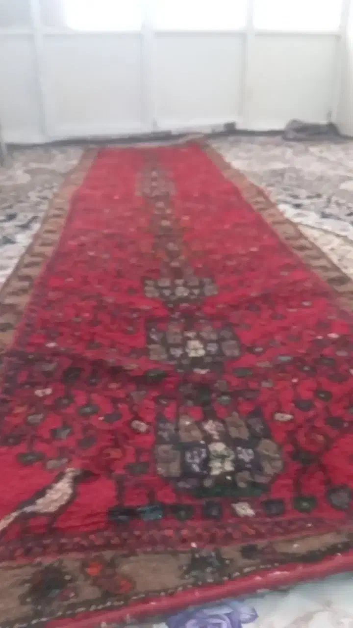 فرش قدیمی|فرش|اقبالیه, |دیوار