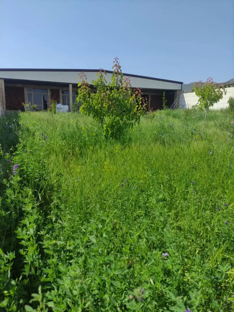 فروش زمین خ ساحلی ۱۸۰مترمحمودآباد|فروش زمین و ملک کلنگی|شاهین دژ, |دیوار