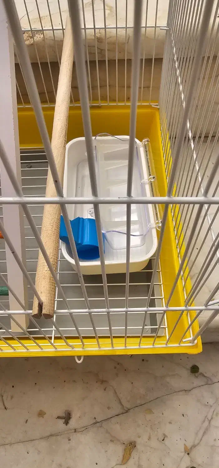 قفس پرنده|لوازم جانبی حیوانات|قم, بنیاد|دیوار