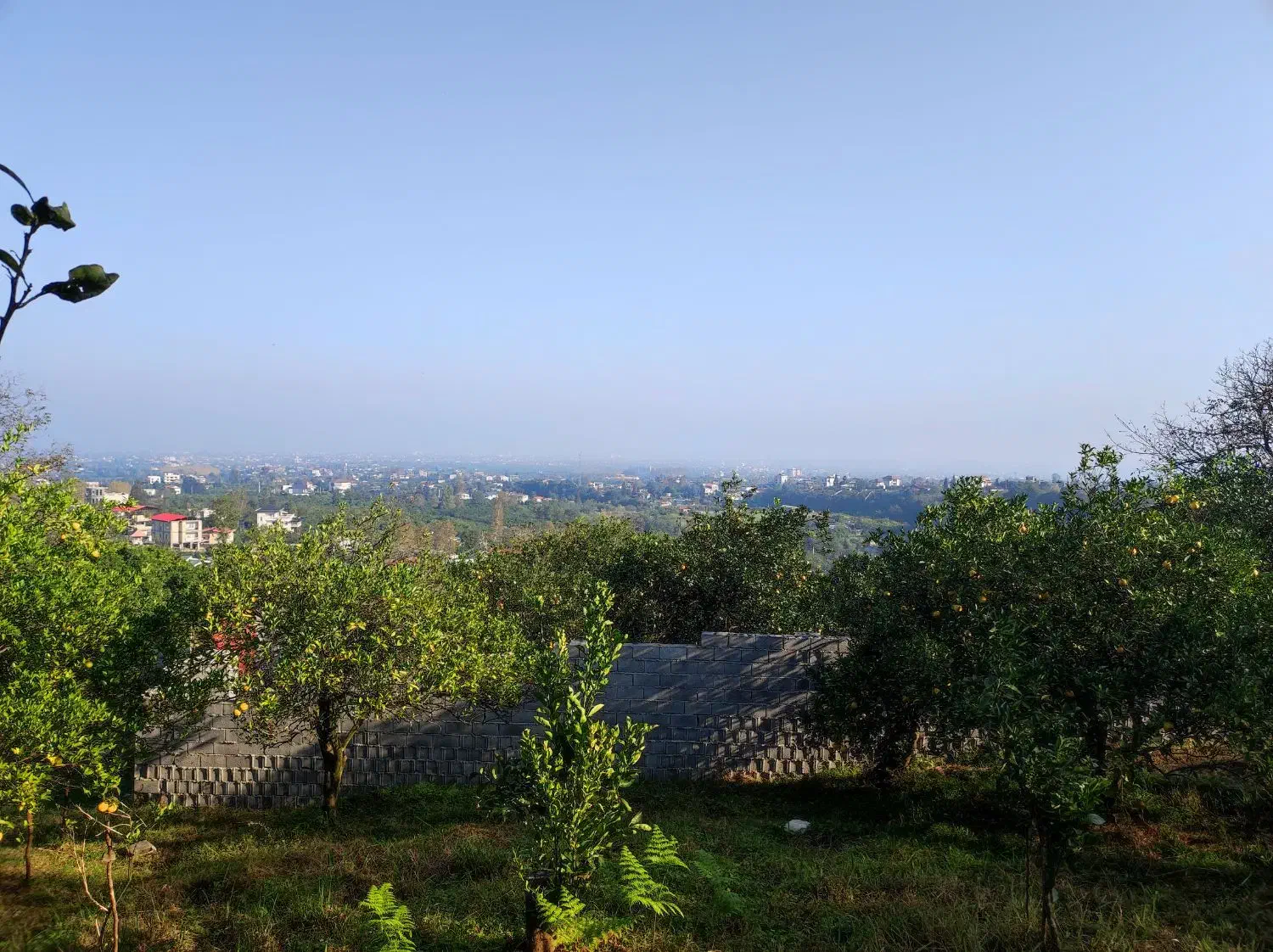 فروش زمین 300متری|فروش زمین و ملک کلنگی|نشتارود, |دیوار