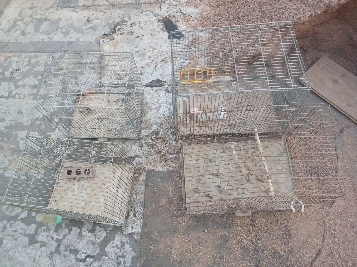 قفس پرنده|لوازم جانبی حیوانات|شیراز, غدیر شمالی|دیوار