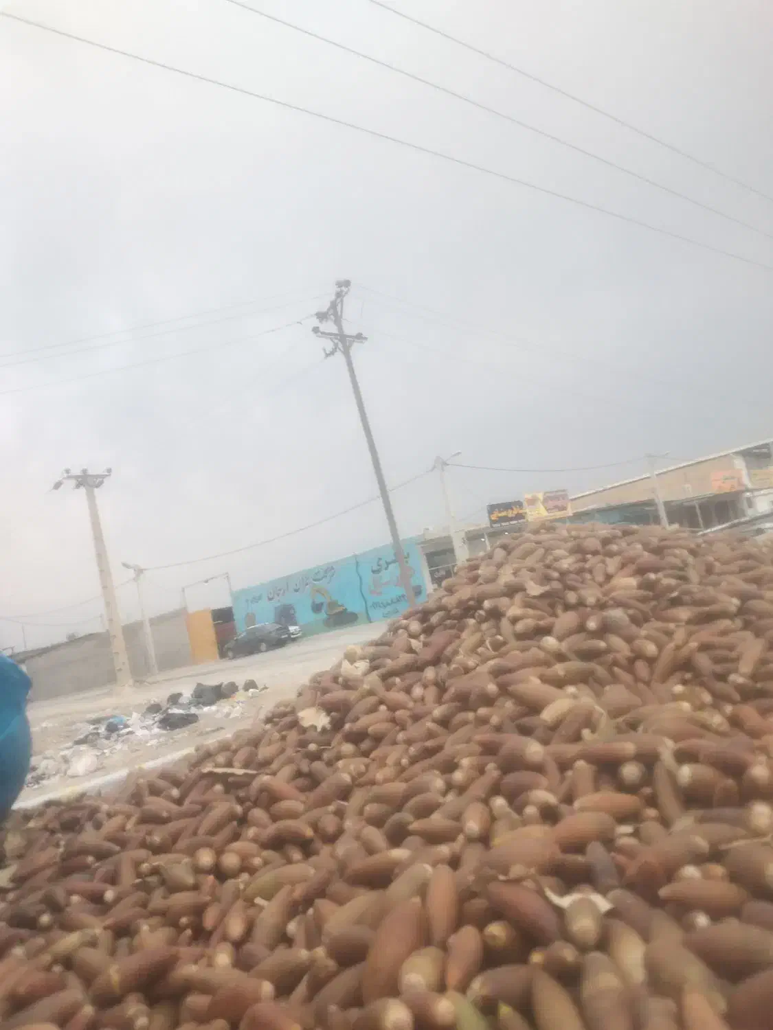 بلوط|لوازم جانبی حیوانات|بهبهان, |دیوار