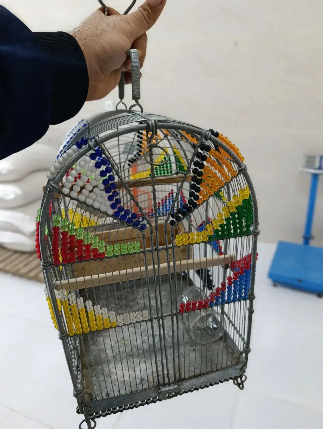 قفس|لوازم جانبی حیوانات|آستارا, |دیوار