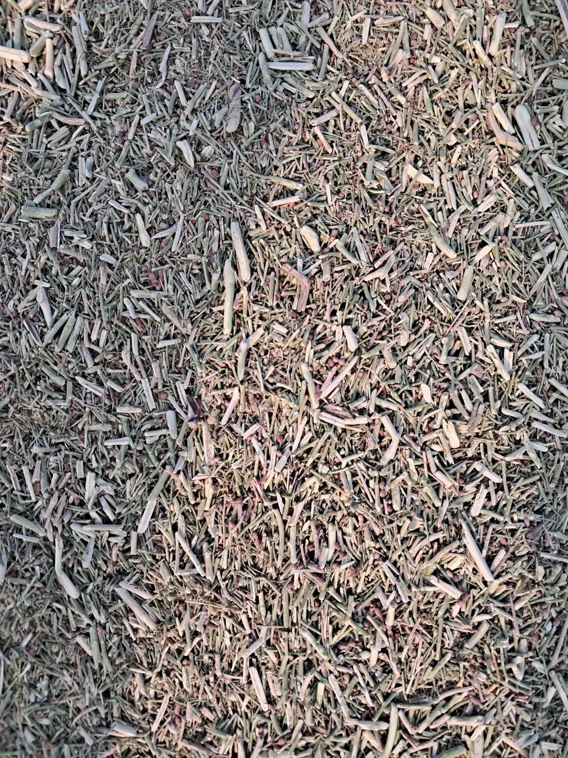 خارشتر درجه یک اماده ارسال ۲۰ تن|لوازم جانبی حیوانات|گناباد, |دیوار