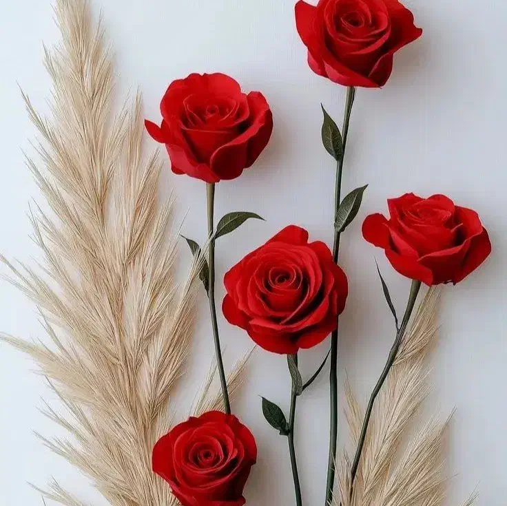 نظافت منزل پله|خدمات نظافت|نیشابور, کشتارگاه|دیوار