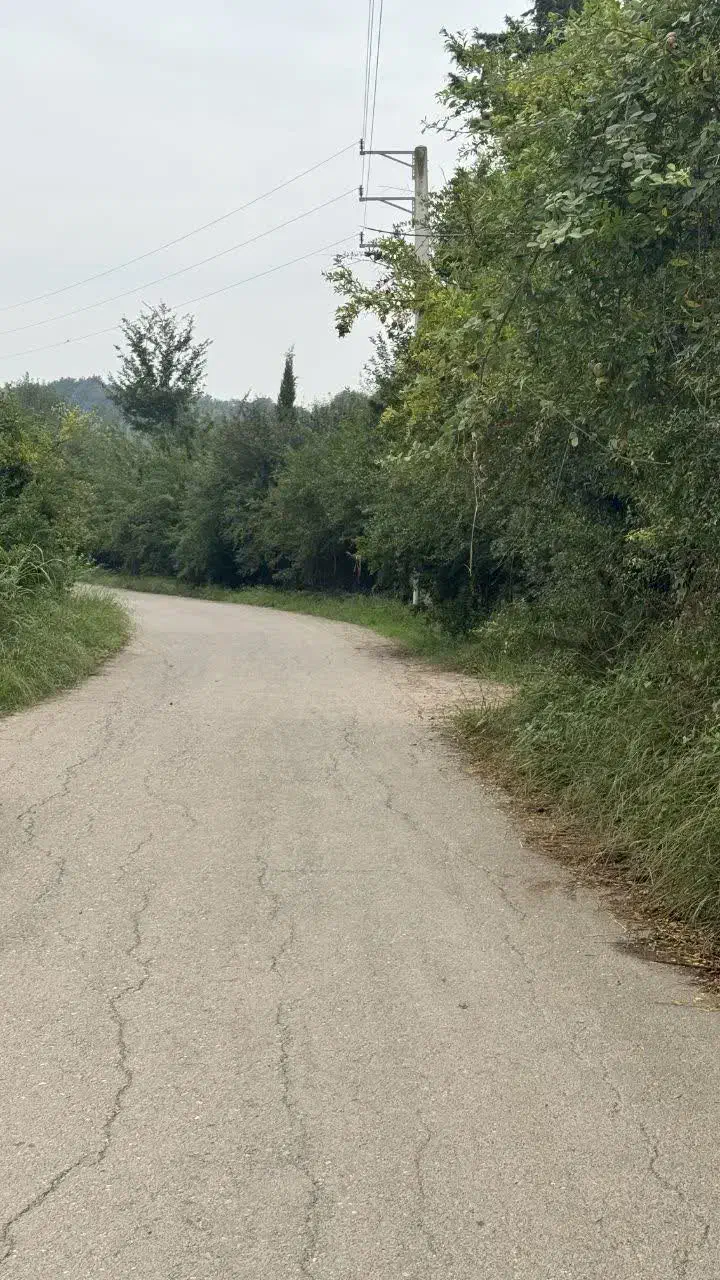 ۱۰۰۰ متر زمین باغ میوه در بابلکنار|فروش دفتر صنعتی، کشاورزی، تجاری|مرزیکلا, |دیوار