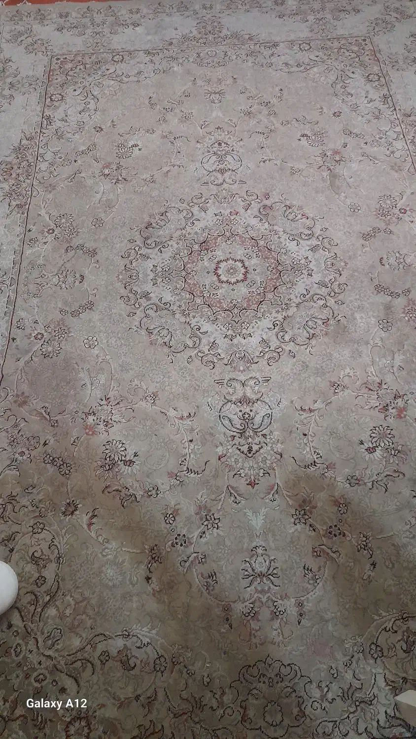 فرش ۶ متری|فرش|قزوین, |دیوار