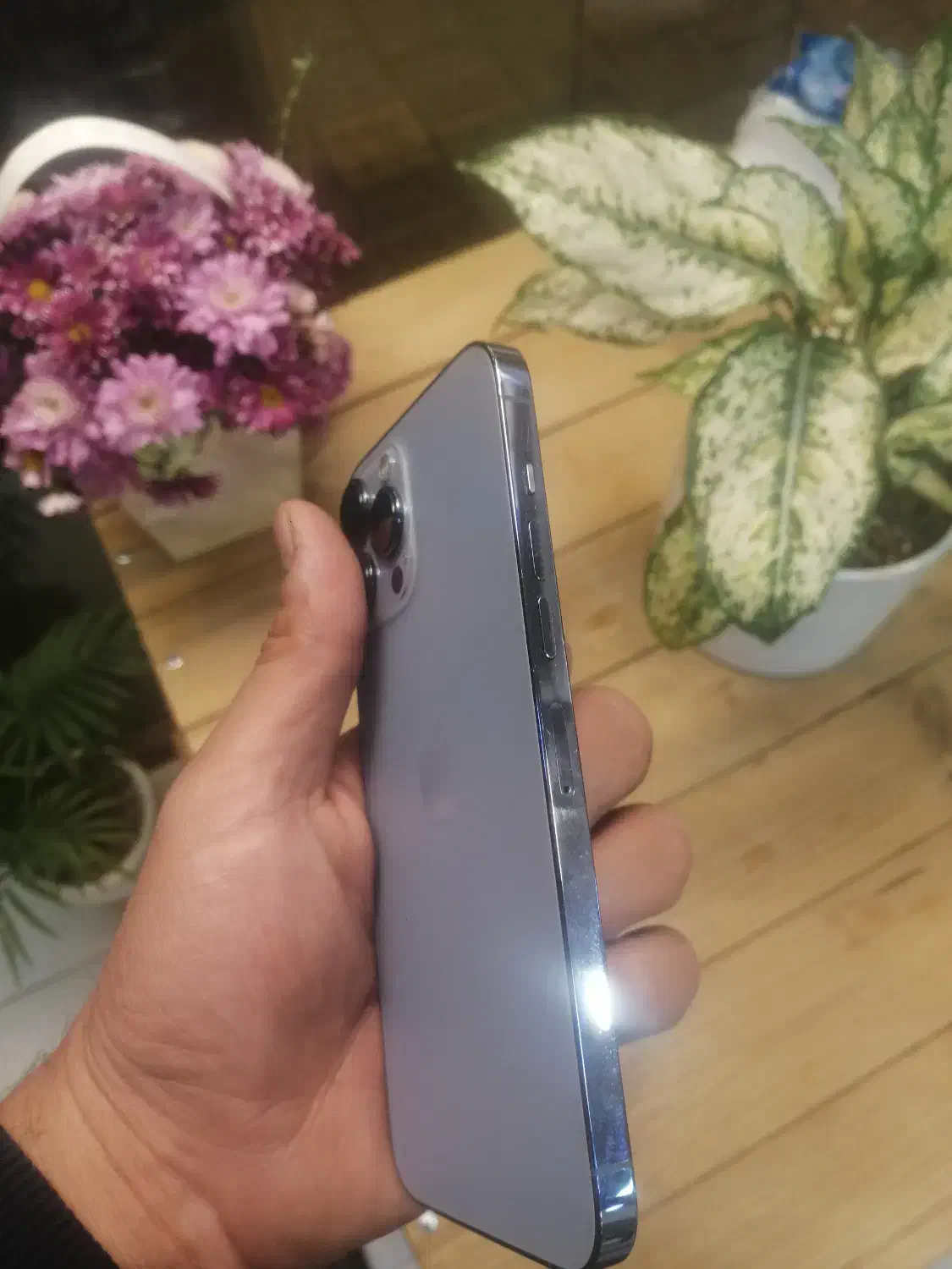 آیفون 13 پرو مکس|موبایل|همدان, |دیوار