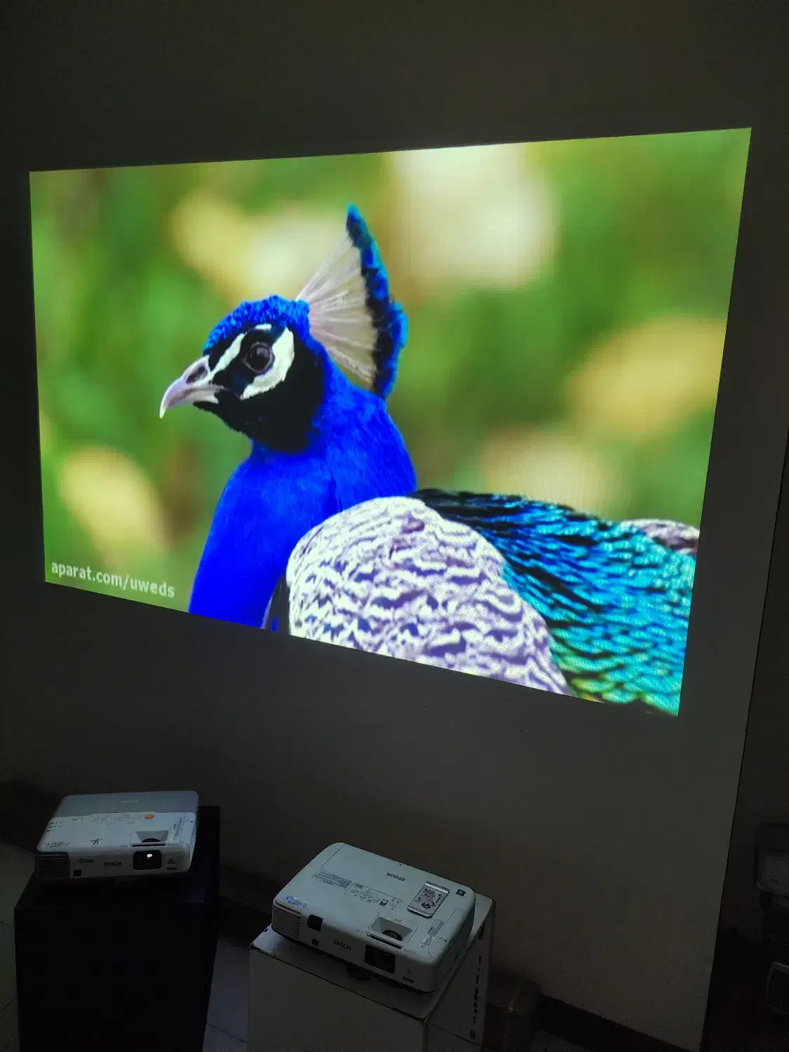 نمایندگی ویدیو پروژکتور آریا با 10 سال سابقه|تلویزیون و پروژکتور|کرج, اصفهانیها|دیوار