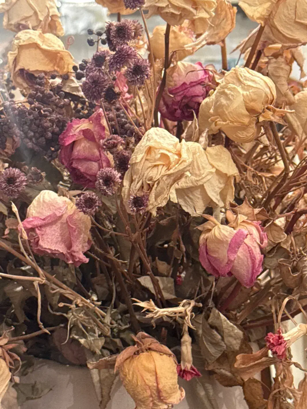 فیش حج تمتع|تور و چارتر|کرمانشاه, |دیوار