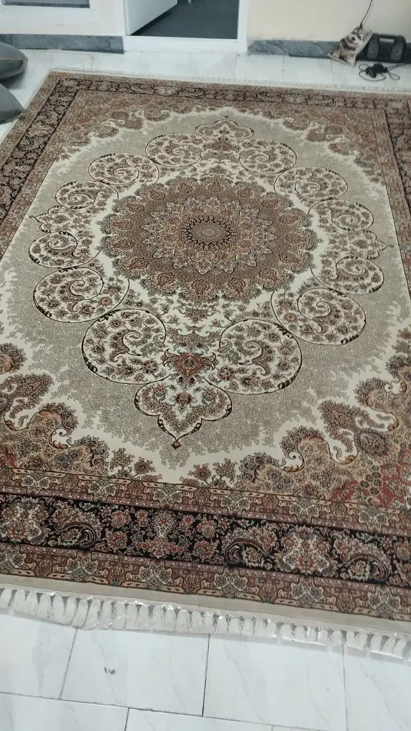 فرش ۹ متری سالم|فرش|قدس, شهر‌قدس|دیوار