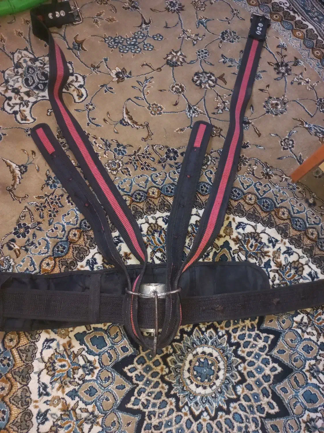 هیکلی زخیم|کیف، کفش، کمربند|پرند, فاز ۶|دیوار