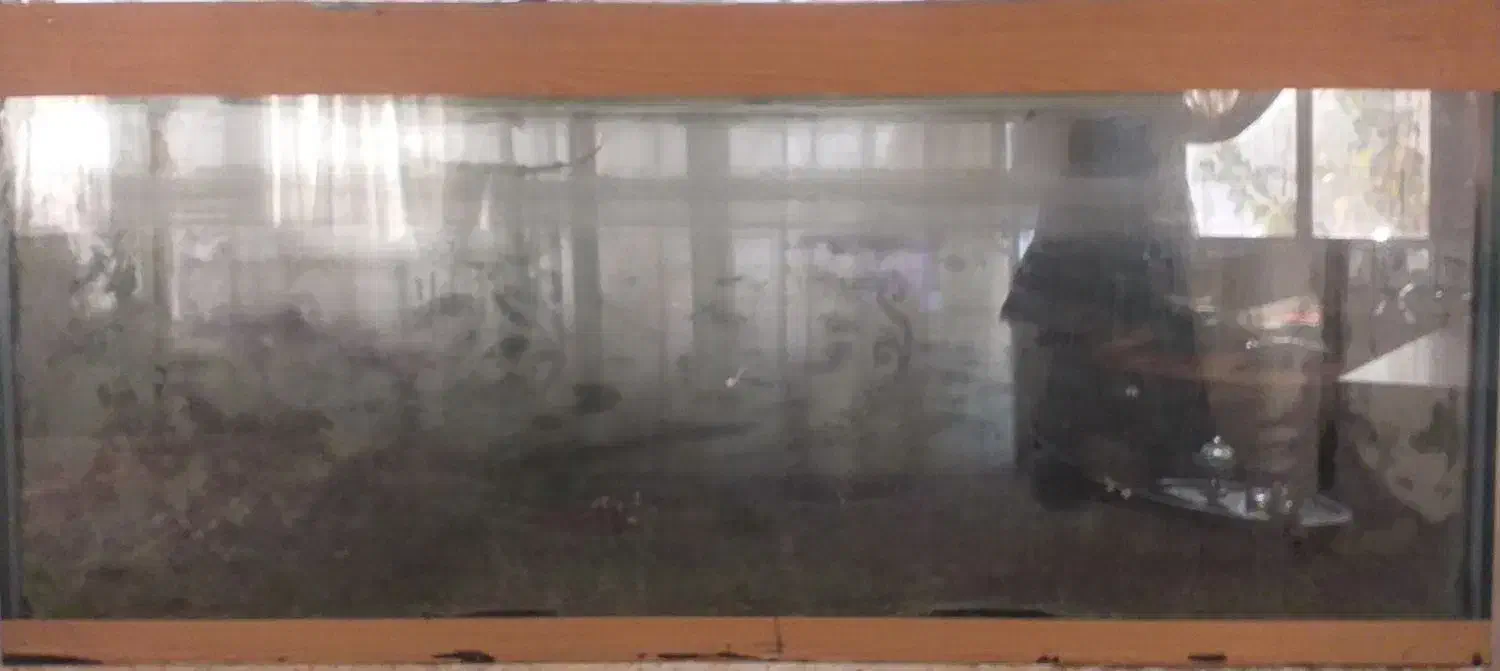 اکواریوم|ماهی|مشهد, رضاشهر|دیوار