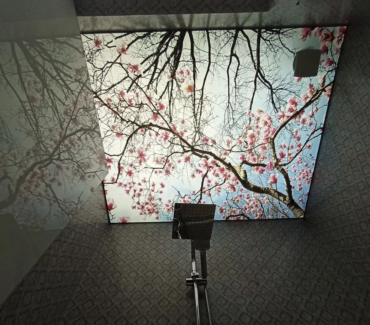 لاین نوری،کناف،باریسول،آسمون مجازی،کشسان|خدمات پیشه و مهارت|ورامین, خیر آباد|دیوار