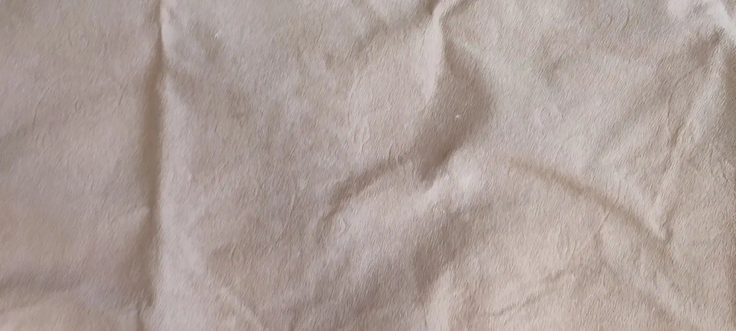 موکت|موکت|شاهین‌شهر, شهرک هشت بهشت|دیوار