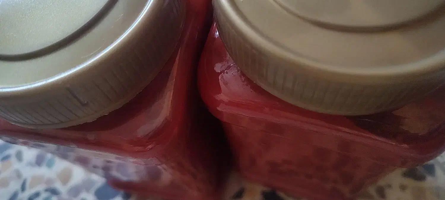 رب خانگی|خوردنی و آشامیدنی|خمینیشهر, |دیوار