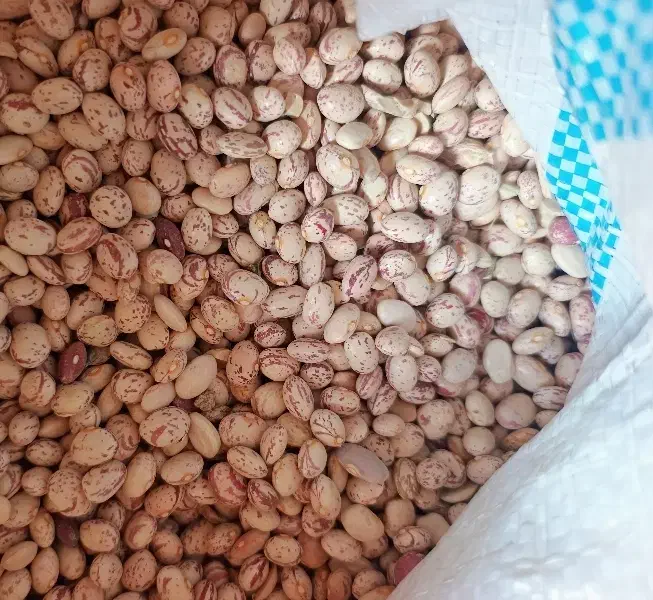 لوبیا چیتی 345وبیا قرمز225|خوردنی و آشامیدنی|تهران, امیریه|دیوار