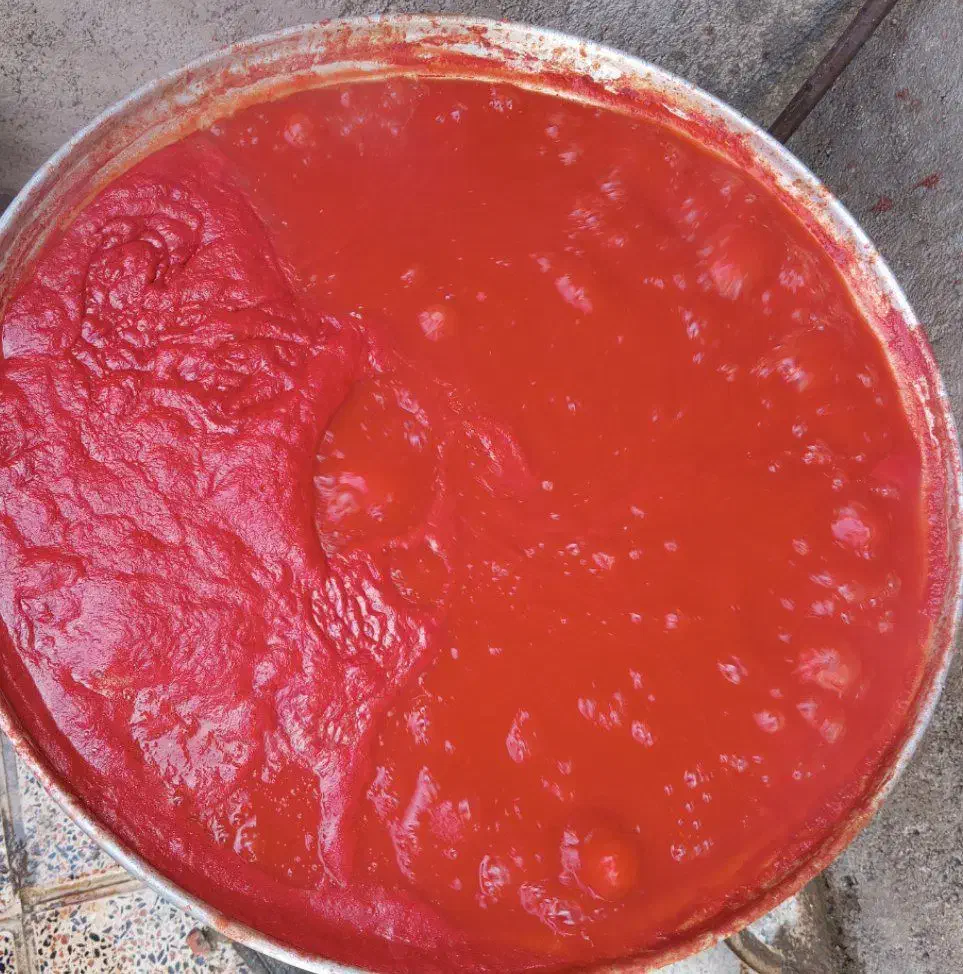 بازی هوشی،|اسباب‌بازی بچه|قزوین, |دیوار