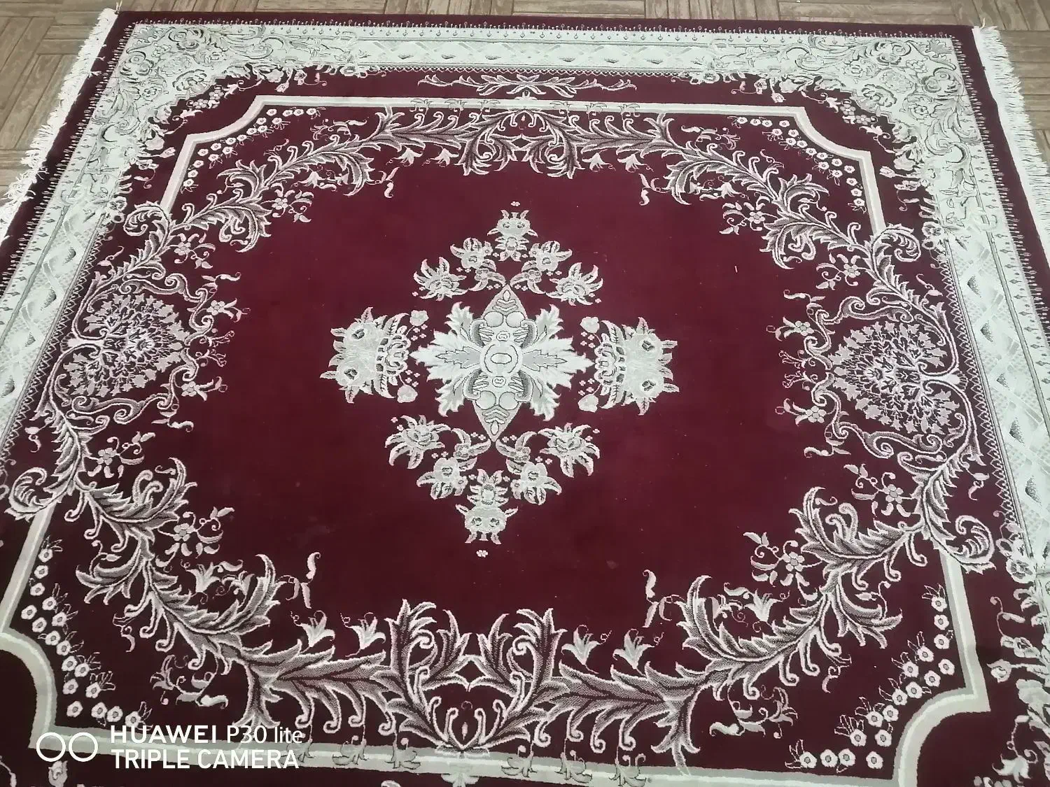 فرش 9 متری|فرش|شیراز, مسلم|دیوار