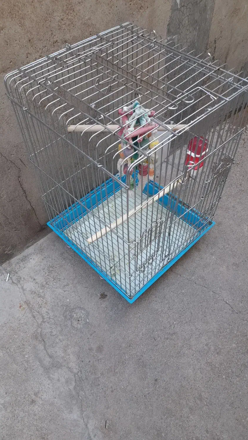 قفس طوطی سایز بزرگ بزرگ معاوضه با پرنده فقط|لوازم جانبی حیوانات|مسجد سلیمان, |دیوار