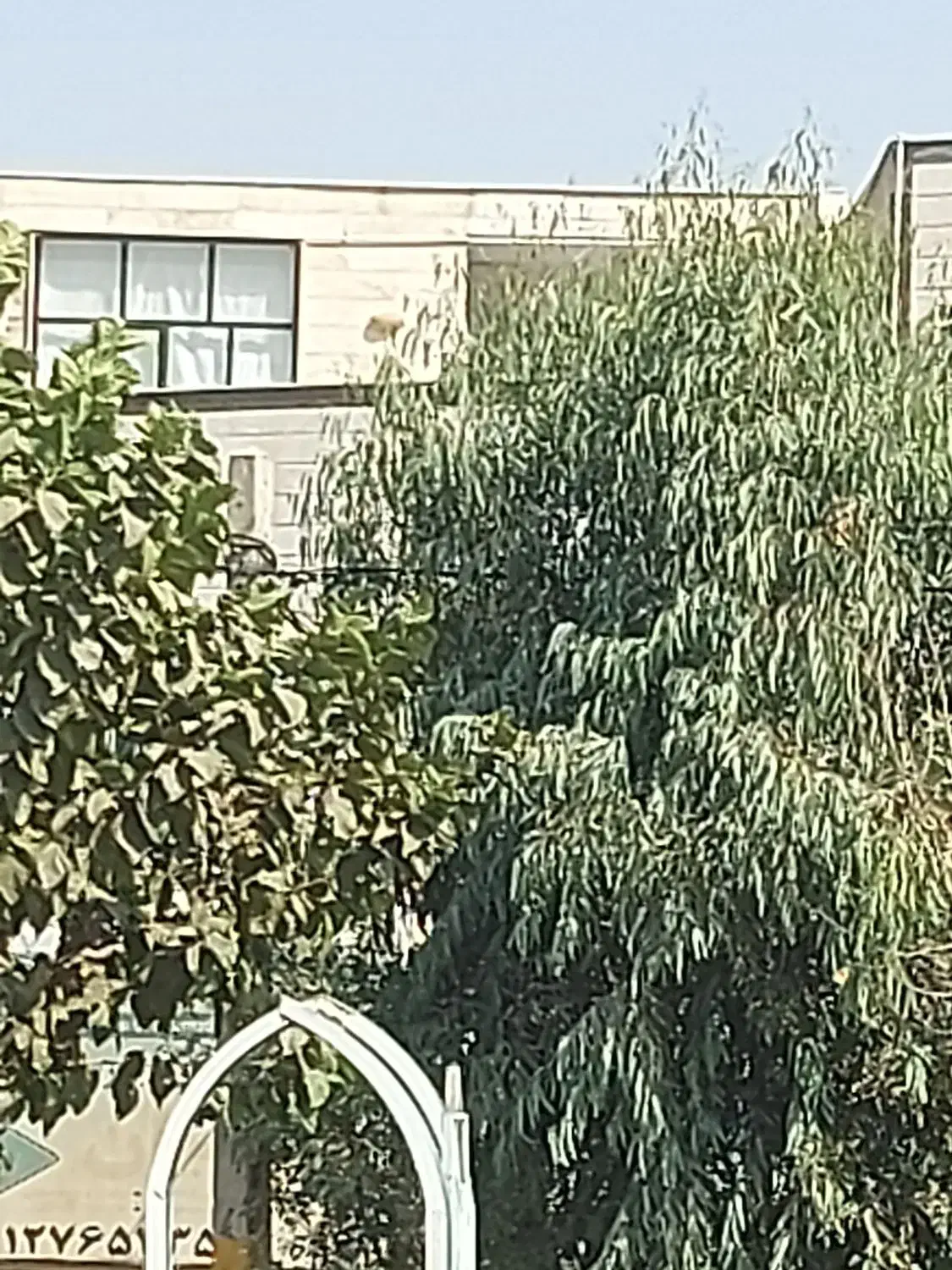 پرستار برای نگهداری از سالمندخانم|استخدام درمانی، زیبایی، بهداشتی|قرچک, محمد آباد|دیوار