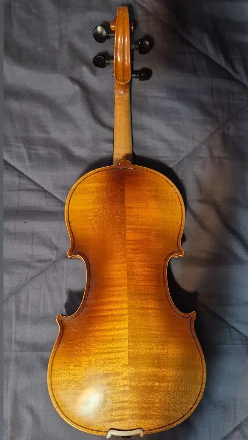 ساز ایتالیایی فراتلی مازی|ویولن|لشت نشا, |دیوار