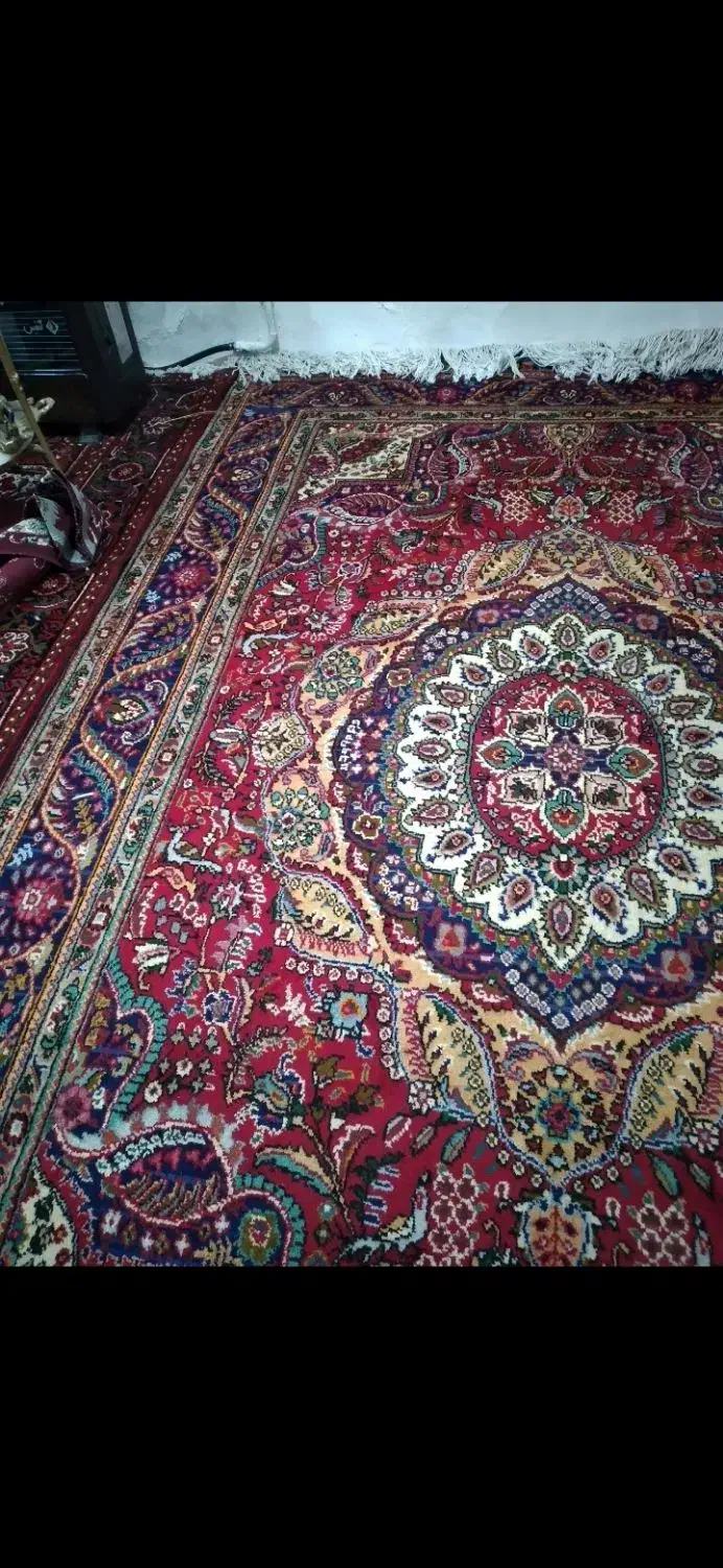 جفت ۶متری و۹متری|فرش|مراغه, |دیوار