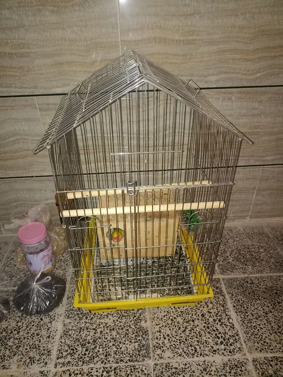 جفت طوطی برزیلی کله هلویی همراه با قفس و ۲تخم|پرنده|آبپخش, |دیوار