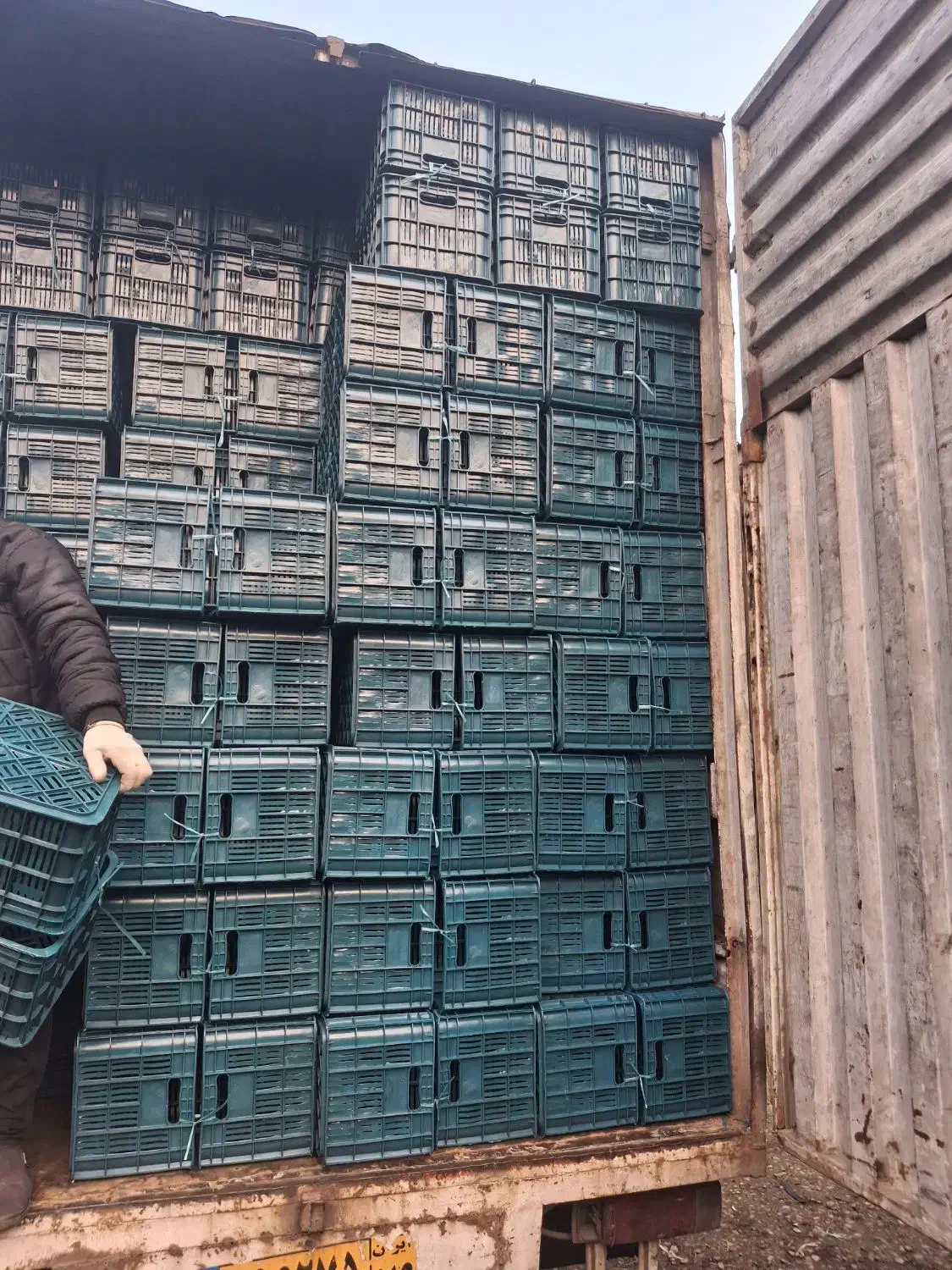 سبدفروشی جعفری سبد 20کیلویی 14 کیلویی وغیره...|عمدهفروشی|واجارگاه, |دیوار