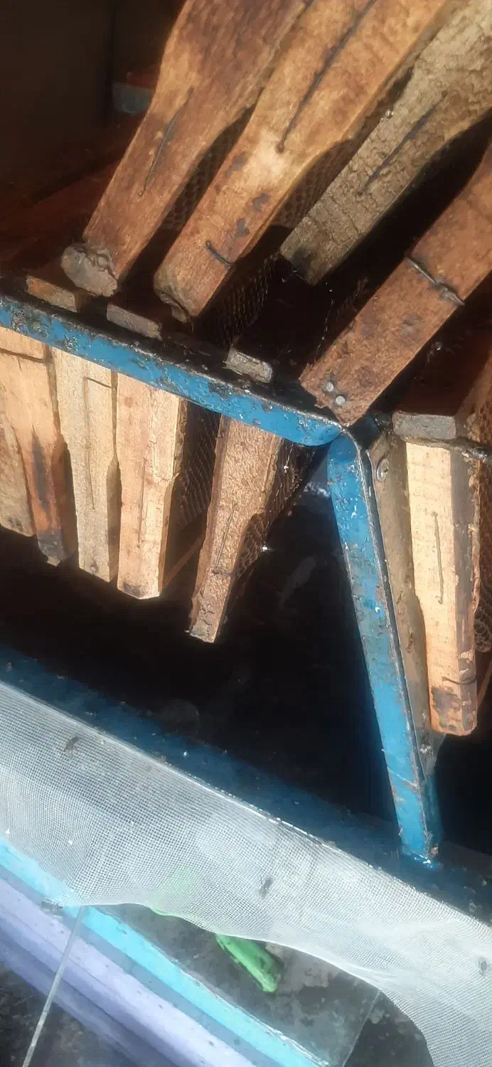 عسل کنار|خوردنی و آشامیدنی|بیرم, |دیوار