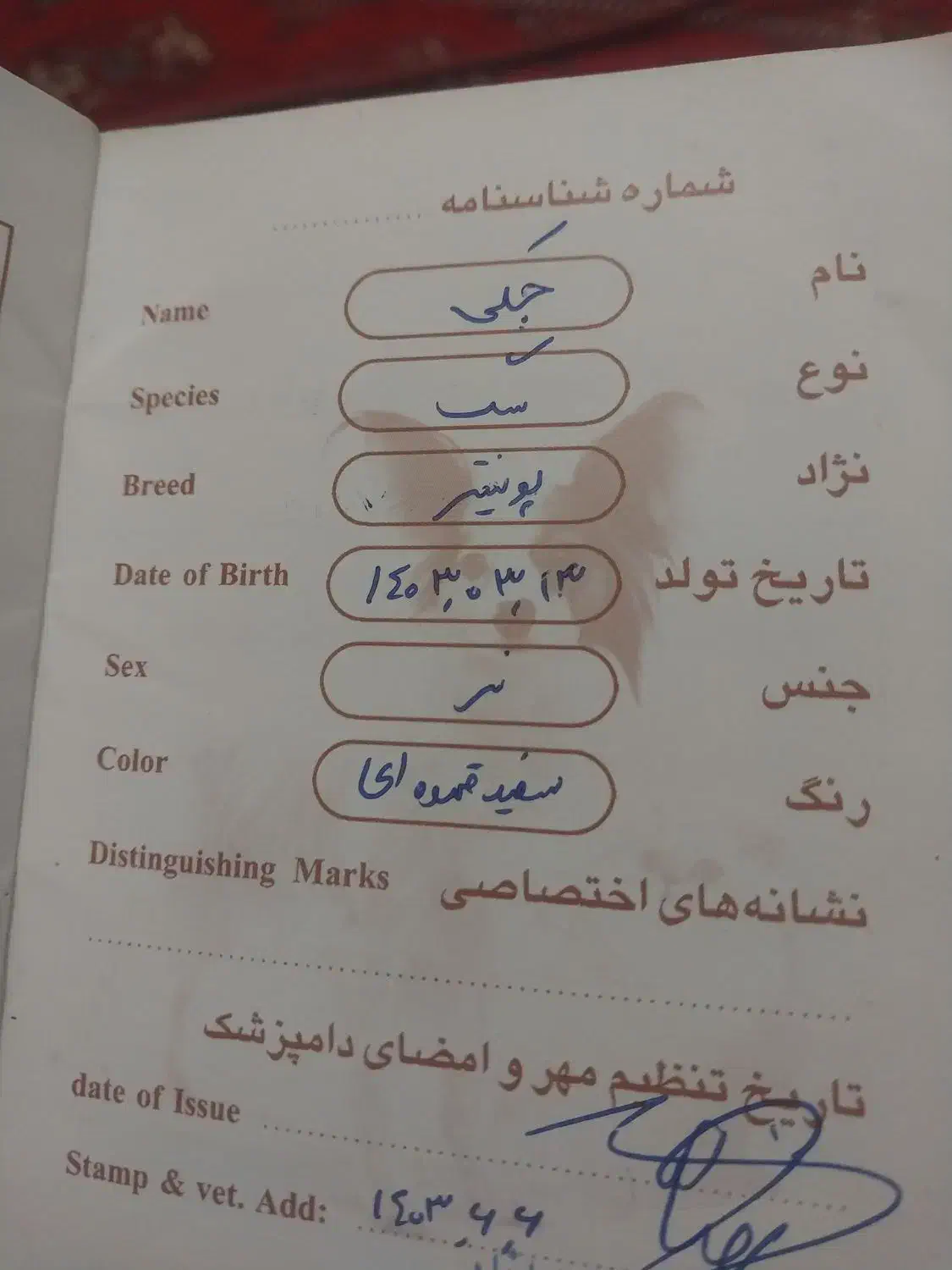 واگذاری سگ|سگ|مینودشت, |دیوار