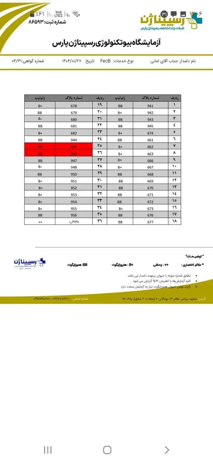 فروش بره نرهموفقط دوراس مانده قیمت کیلویی ۵۵۰/۰۰۰ت|حیوانات مزرعه|بجنورد, |دیوار