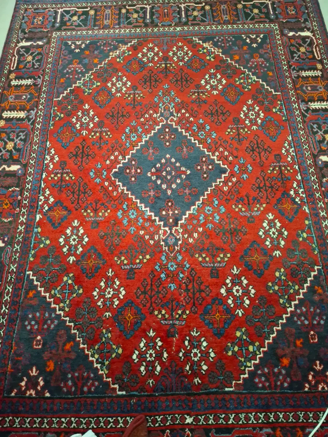 فرش دست بافت|فرش|قم, عمار یاسر|دیوار