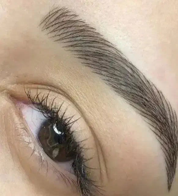 جشنواره شب یلدا  ابرو و شیدینگ لب|خدمات آرایشگری و زیبایی|تهران, جوادیه|دیوار