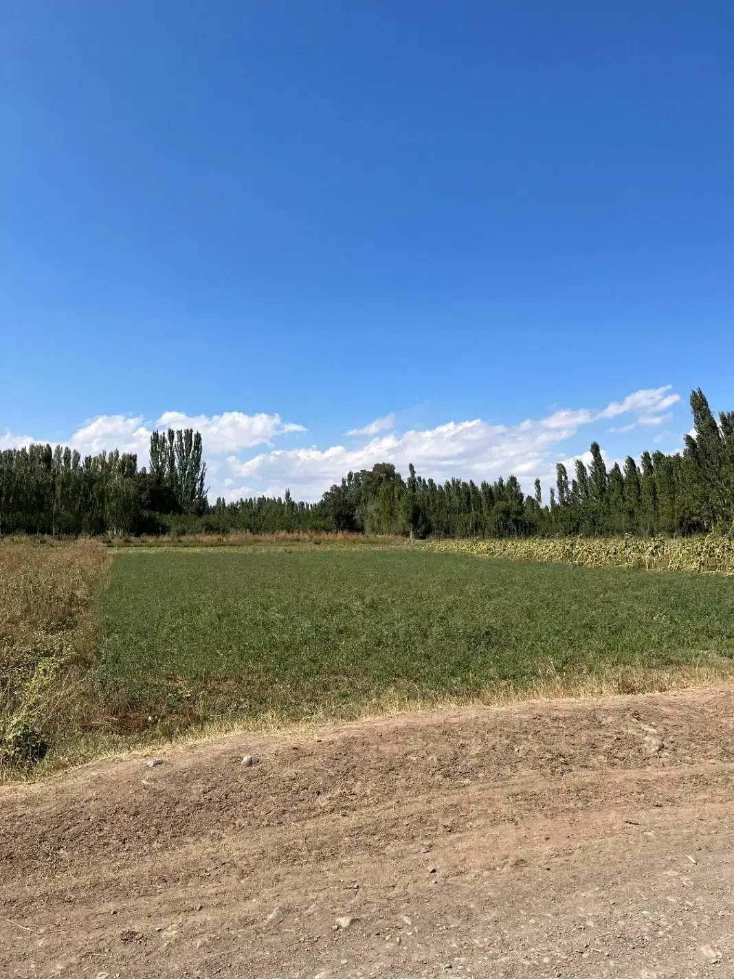 زمین ویلایی روستای کورتای|فروش زمین و ملک کلنگی|خوی, |دیوار