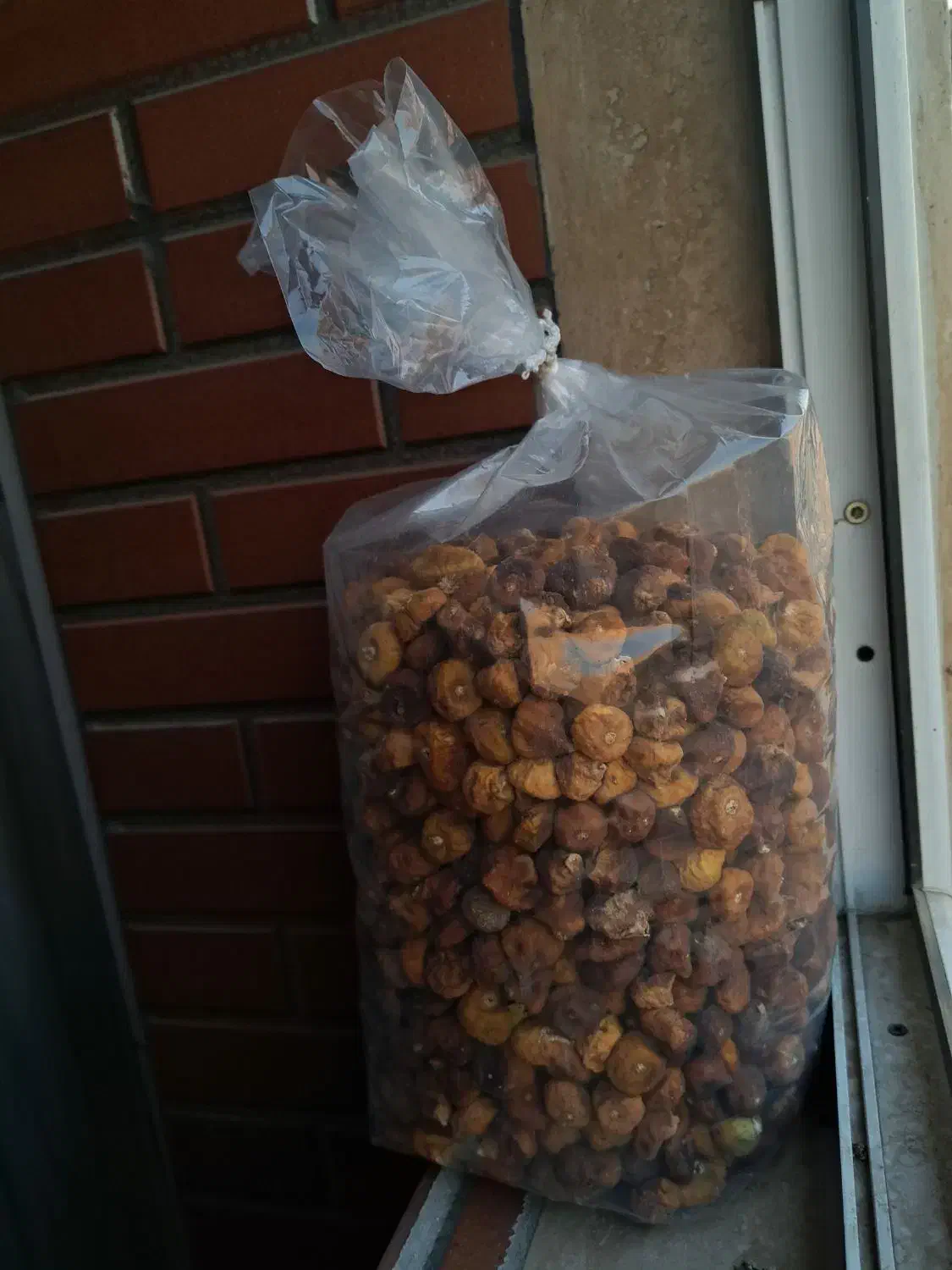 انجیر خشک|خوردنی و آشامیدنی|تهران, وحیدیه|دیوار