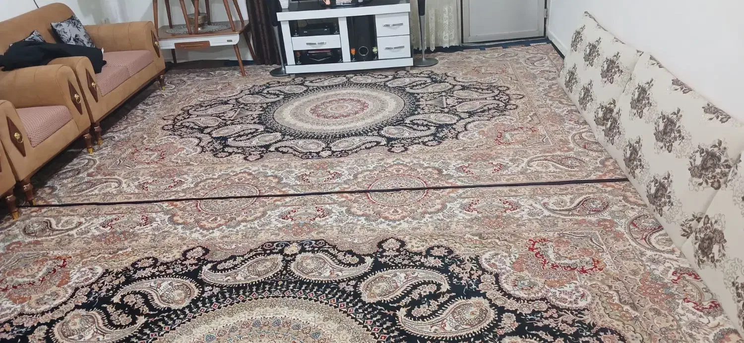 فرش ۱۲متری درحدنو|فرش|آبیک, |دیوار