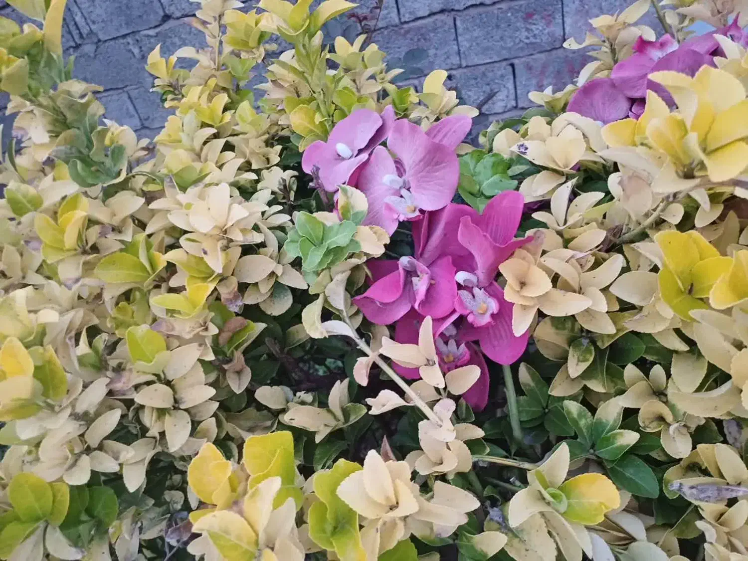 تدریس خصوصی|خدمات آموزشی|اسلام‌شهر, شهرک احمدیه|دیوار