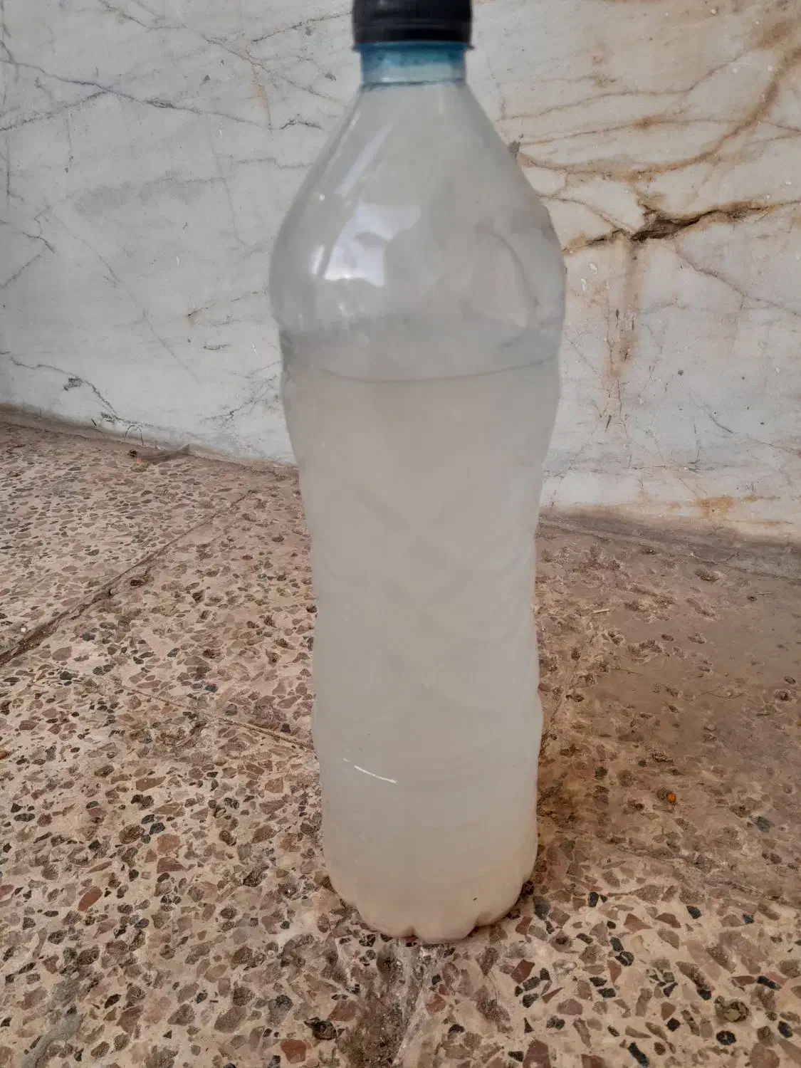 محلول باکتری زنده ، جهت تخمیر و تهیه کمپوست خوراکی|لوازم جانبی حیوانات|خاوران, |دیوار