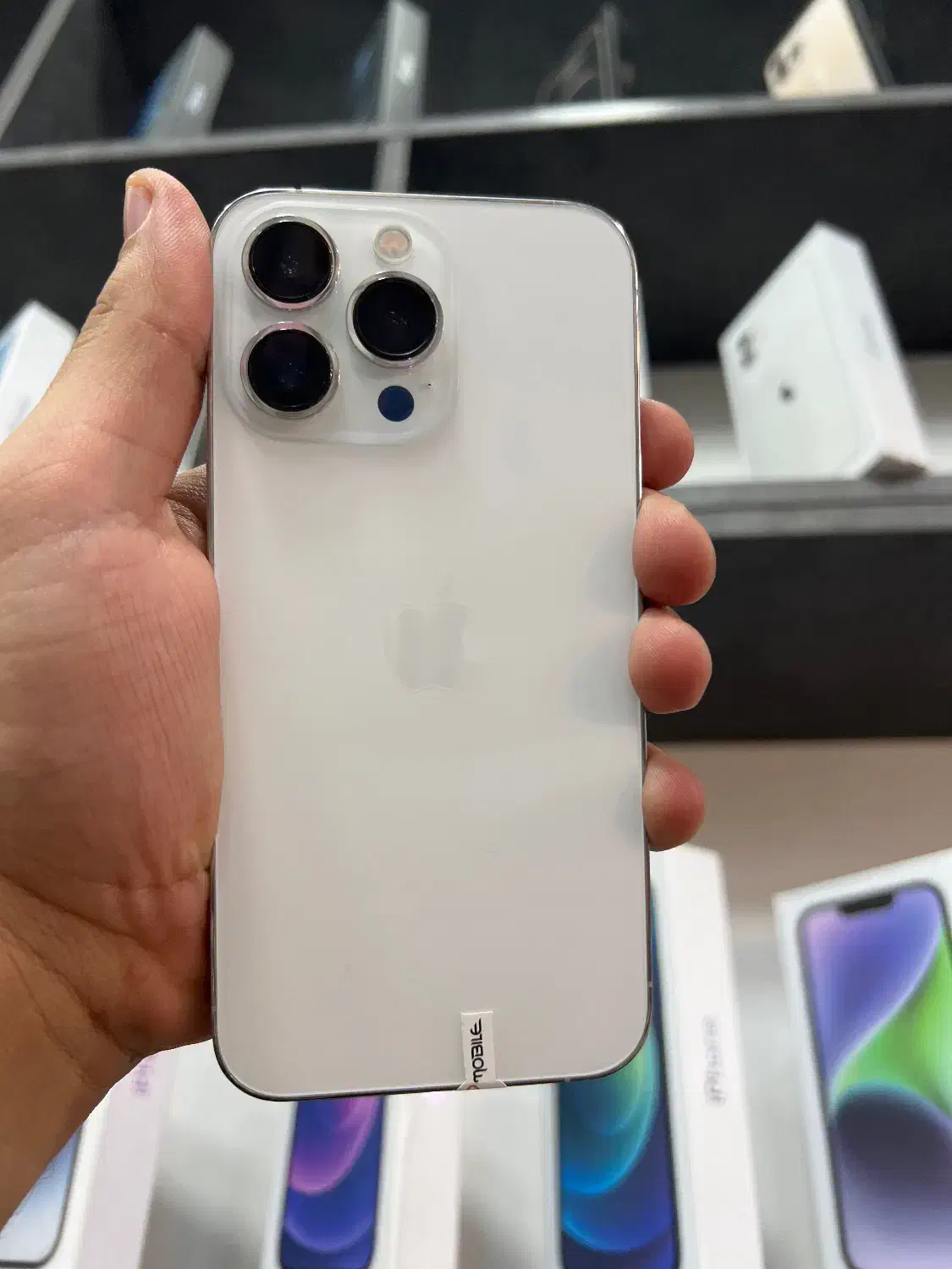 آیفون 13pro|موبایل|رشت, فلسطین|دیوار